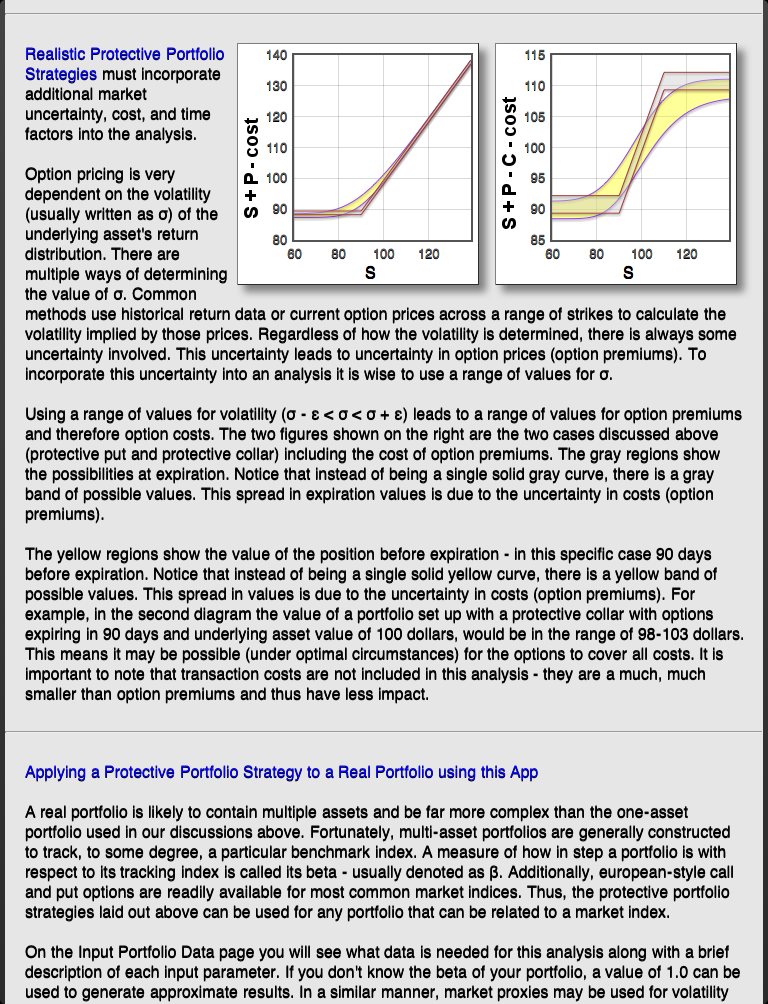 included background information on protective option strategies for a portfolio